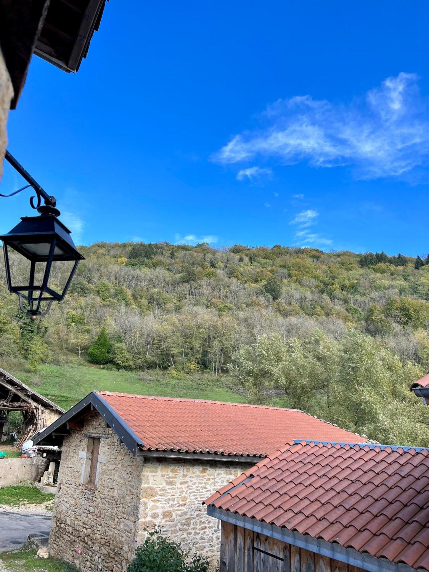 Gite Brin De Nature Au Coeur De La Nature Bugiste Ambérieu-en-Bugey Dış mekan fotoğraf